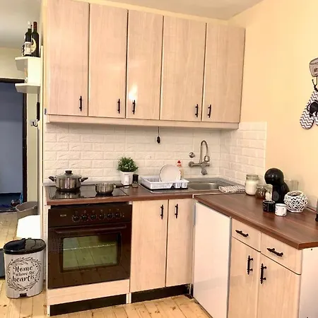 Apartment Ski-in & Ski-out, Filip - 30m From Gondola Brzece Kopaonik