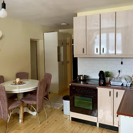 Ski-in & Ski-out, Filip - 30m From Gondola Brzece Apartment